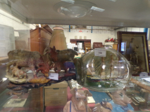 May Auction Image 055.jpg
